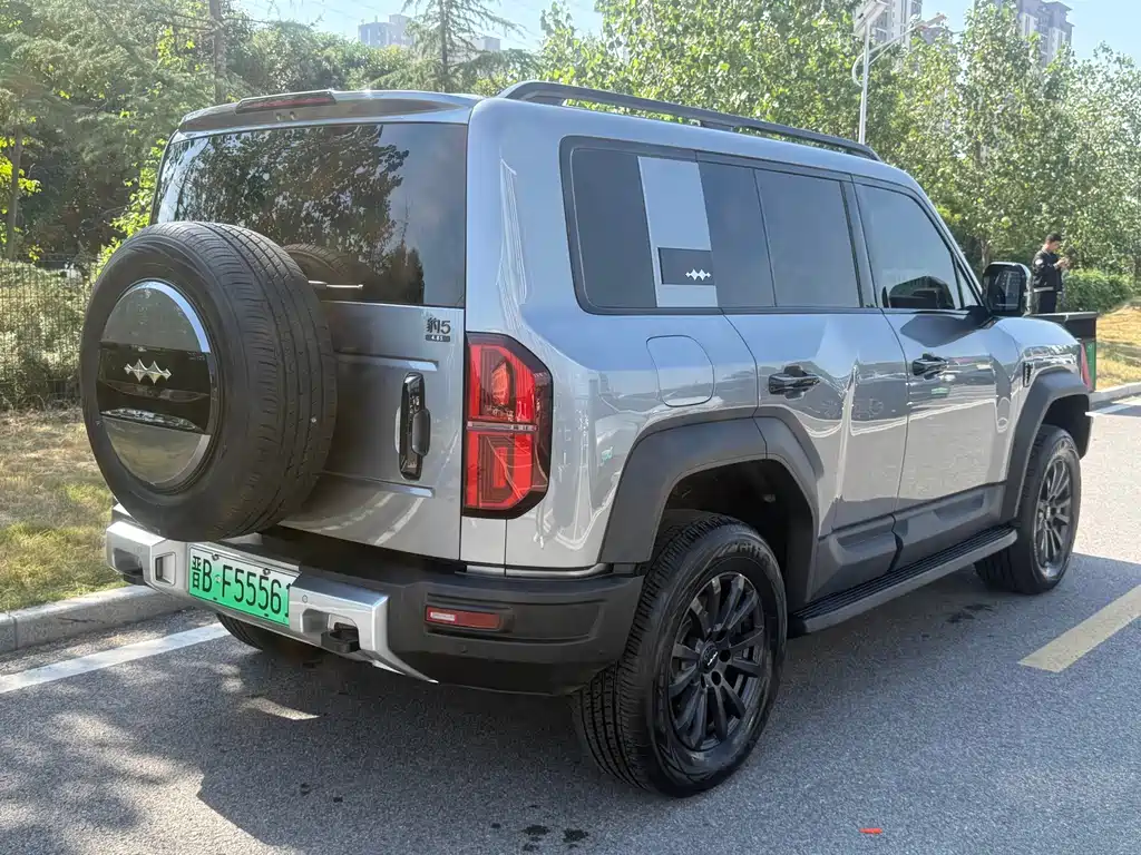 Fang Cheng Bao Leopard 5 — миниатюра 16