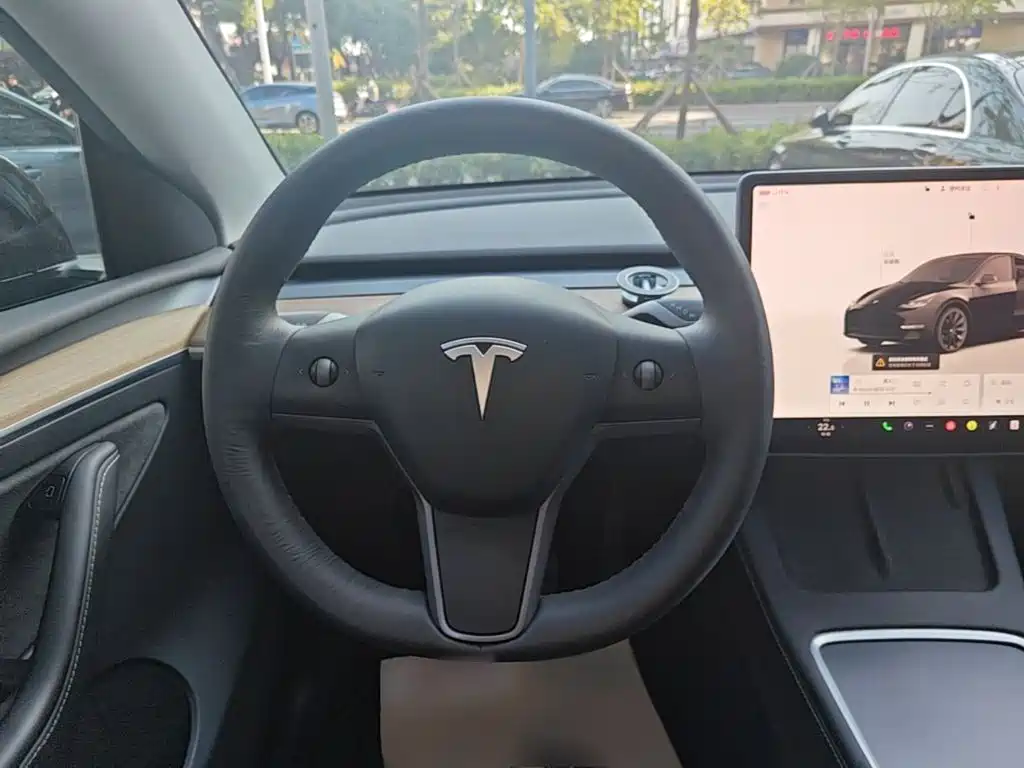 Tesla Model Y — миниатюра 11