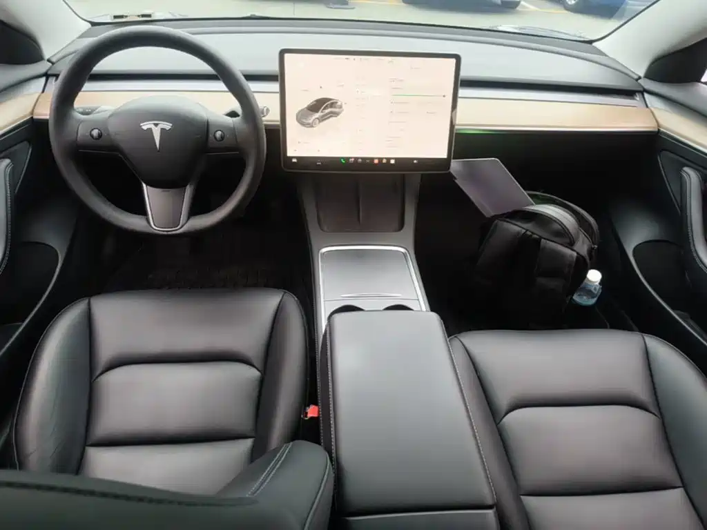 Tesla Model 3 — миниатюра 10