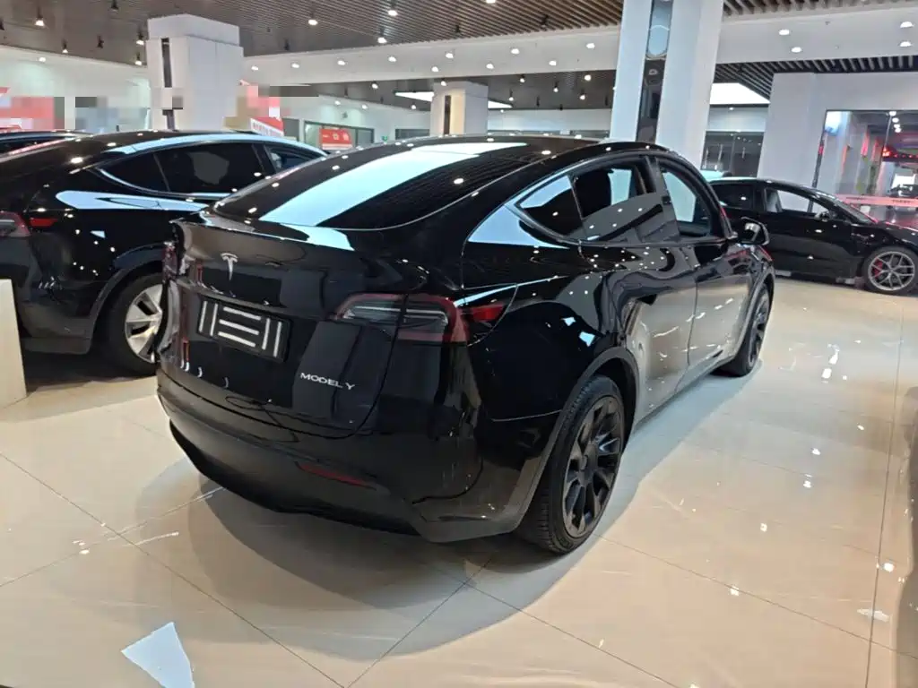Tesla Model Y — миниатюра 7
