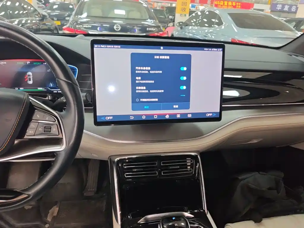 BYD Tang New Energy — миниатюра 13