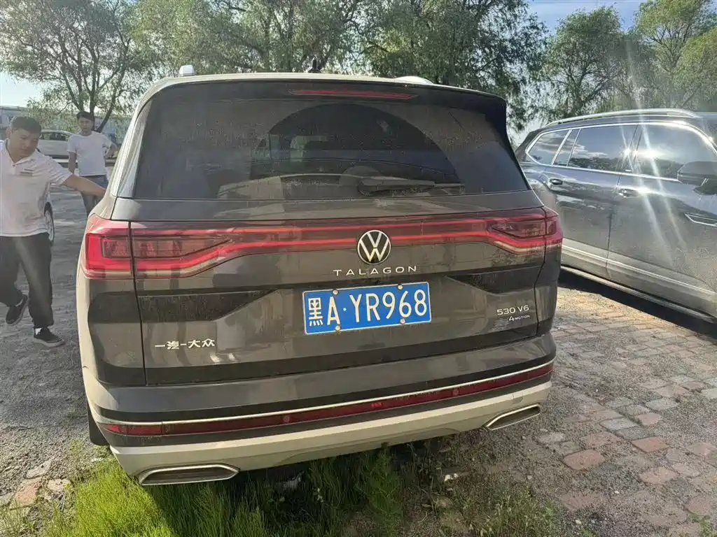 Volkswagen Viloran 2021 530TSI Flagship Pro