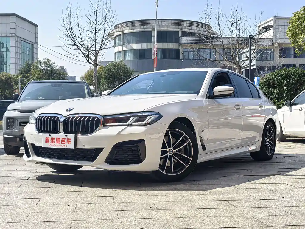BMW 5 Series (Import) 2021