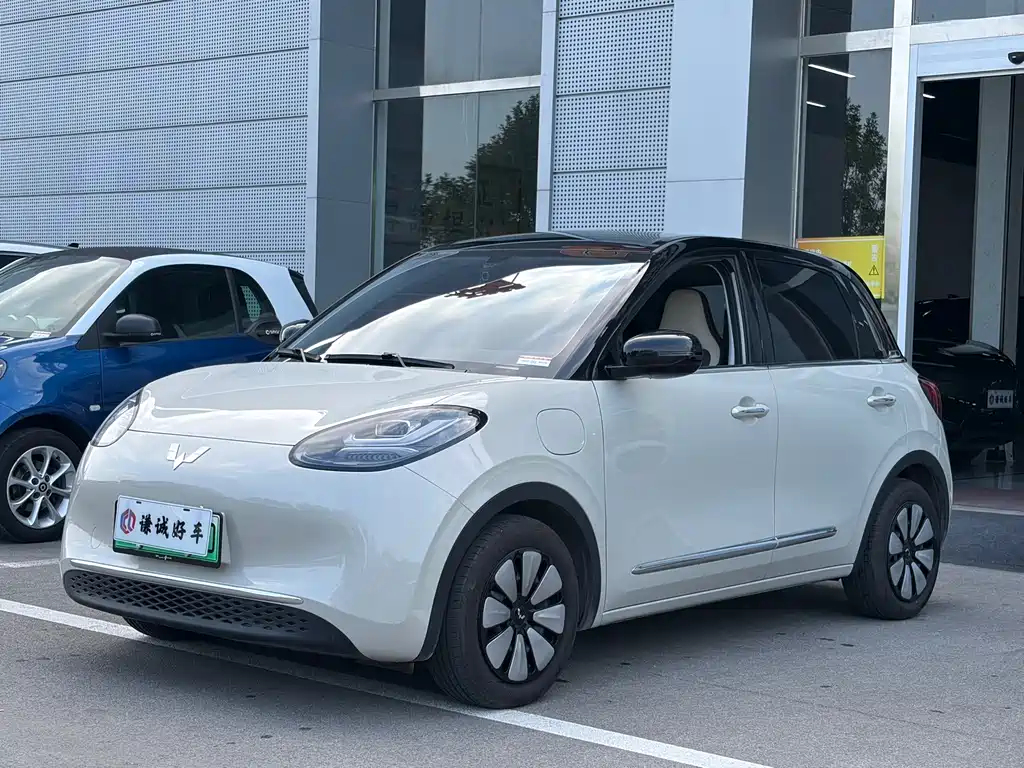 Wuling Bingo