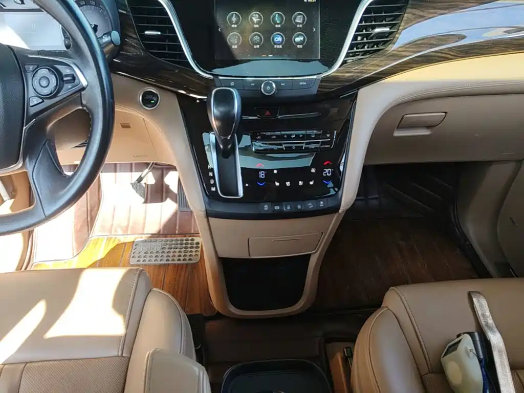 Buick GL8 — миниатюра 10