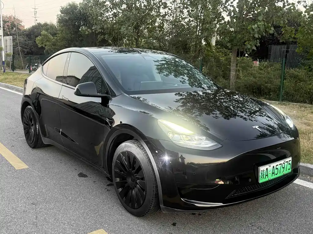 Tesla Model Y — миниатюра 3