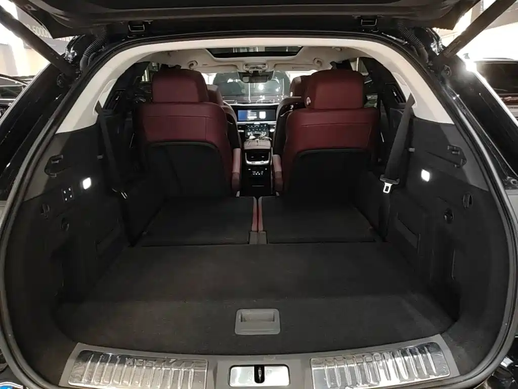 Hongqi Hongqi E-HS9 — миниатюра 19