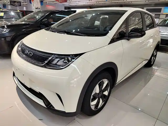BYD DOLPHIN 2025