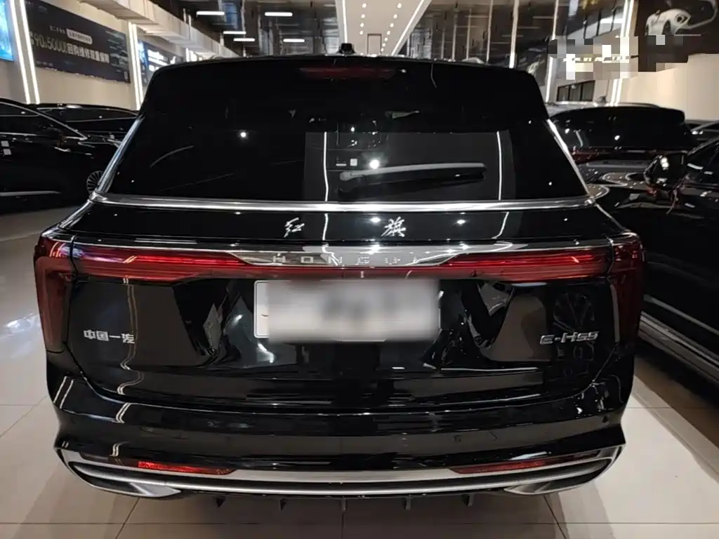 Hongqi Hongqi E-HS9 — миниатюра 6