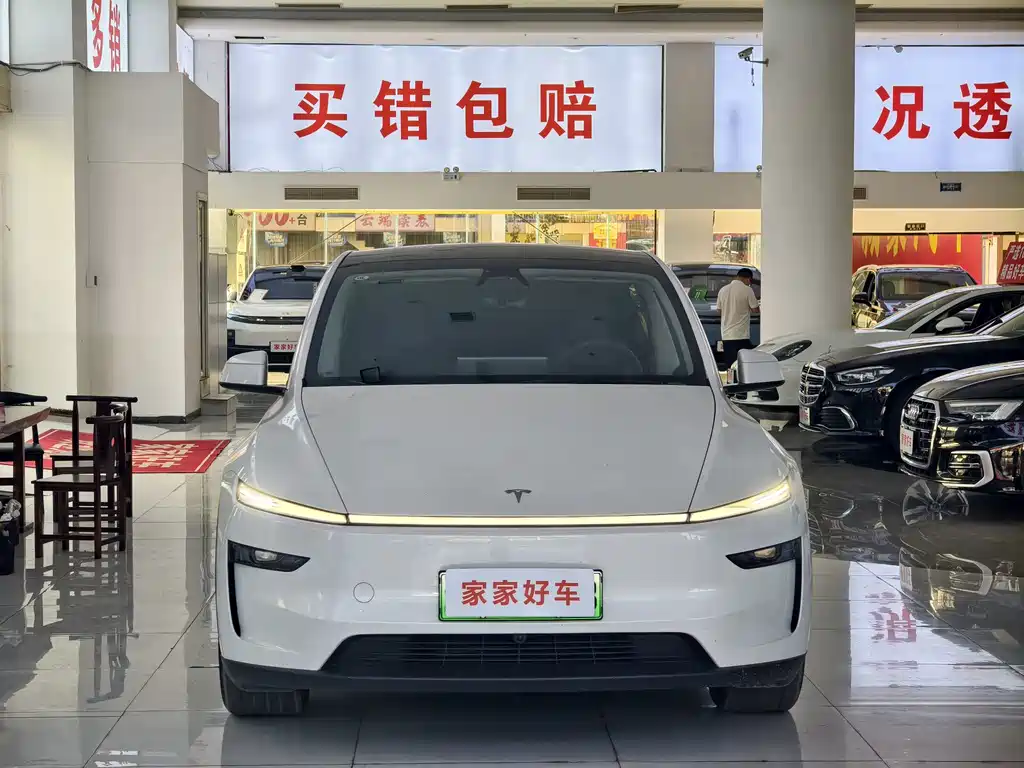 Tesla Model Y — миниатюра 2