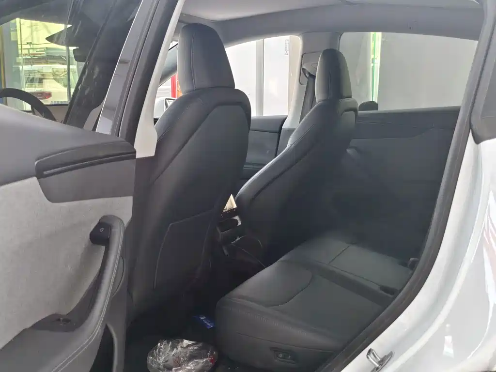 Tesla Model Y — миниатюра 4