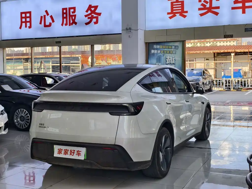 Tesla Model Y — миниатюра 8