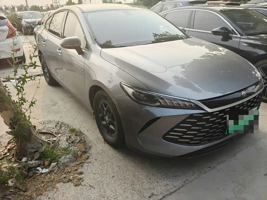 BYD Qin Plus PLUS 2025 DM-i Smart Drive 55KM Lead