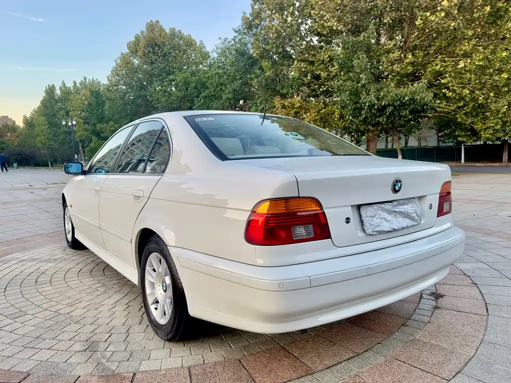 BMW 5 Series 5 2001 520i