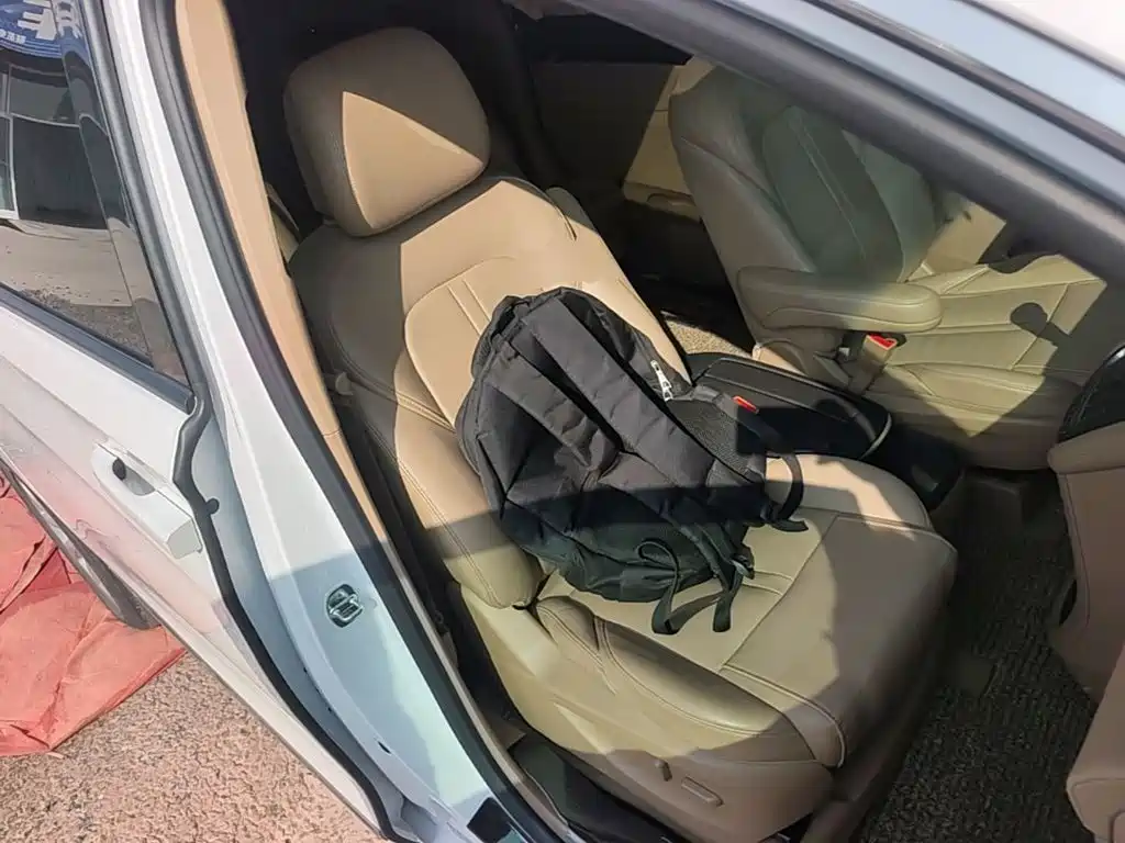 Buick GL8 — миниатюра 25