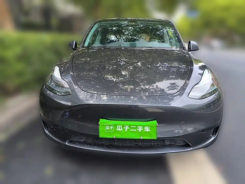 Tesla Model Y — миниатюра 23
