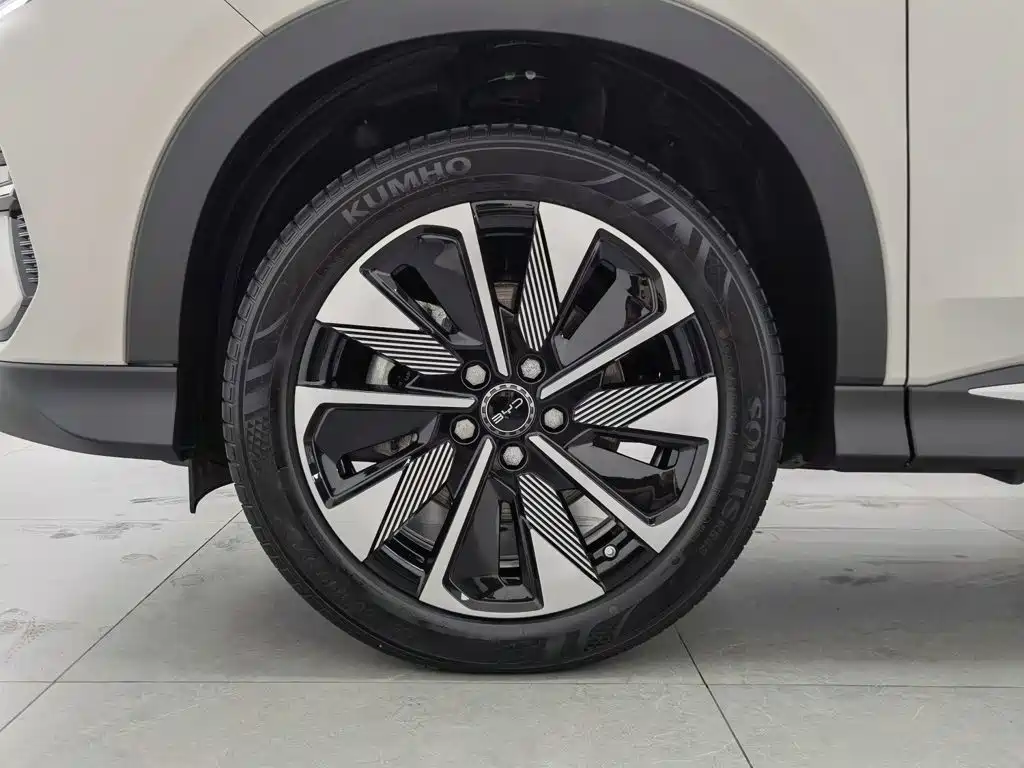BYD PLUS New Energy — миниатюра 17
