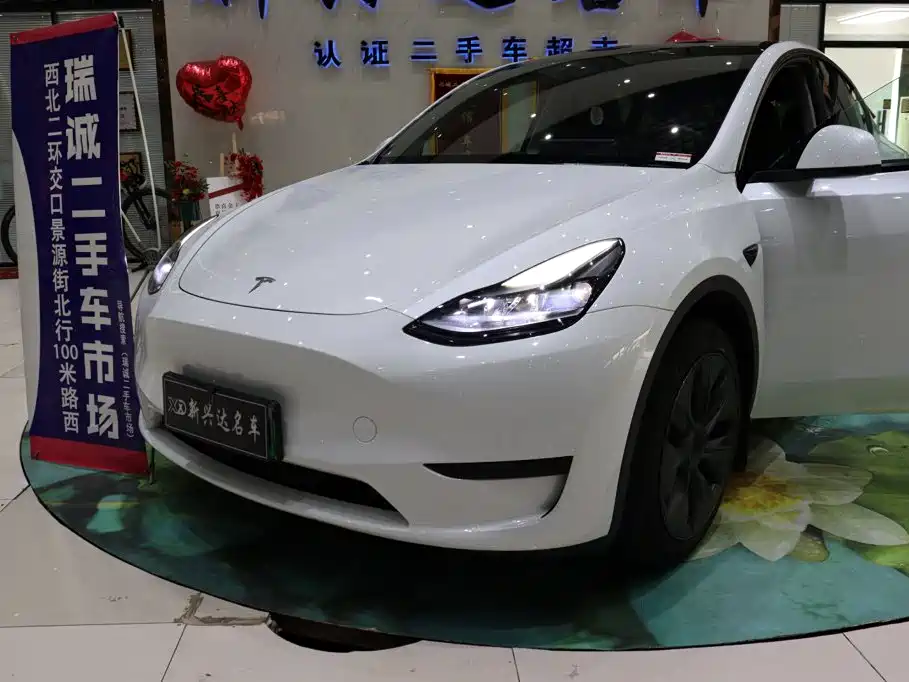 Tesla Model Y — миниатюра 25