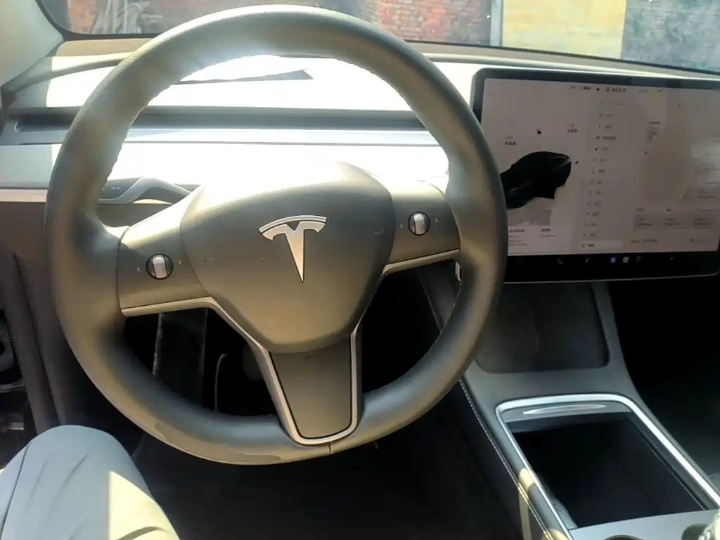 Tesla Model Y — миниатюра 10