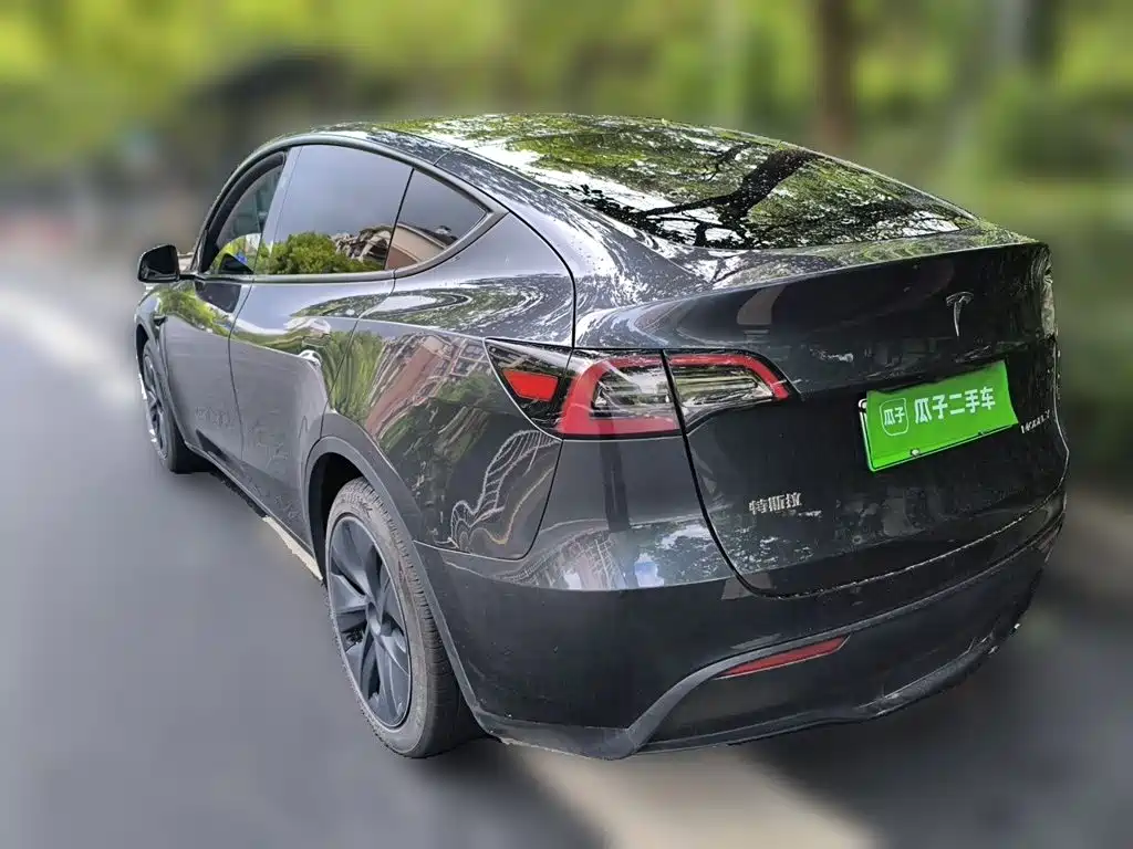 Tesla Model Y — миниатюра 25