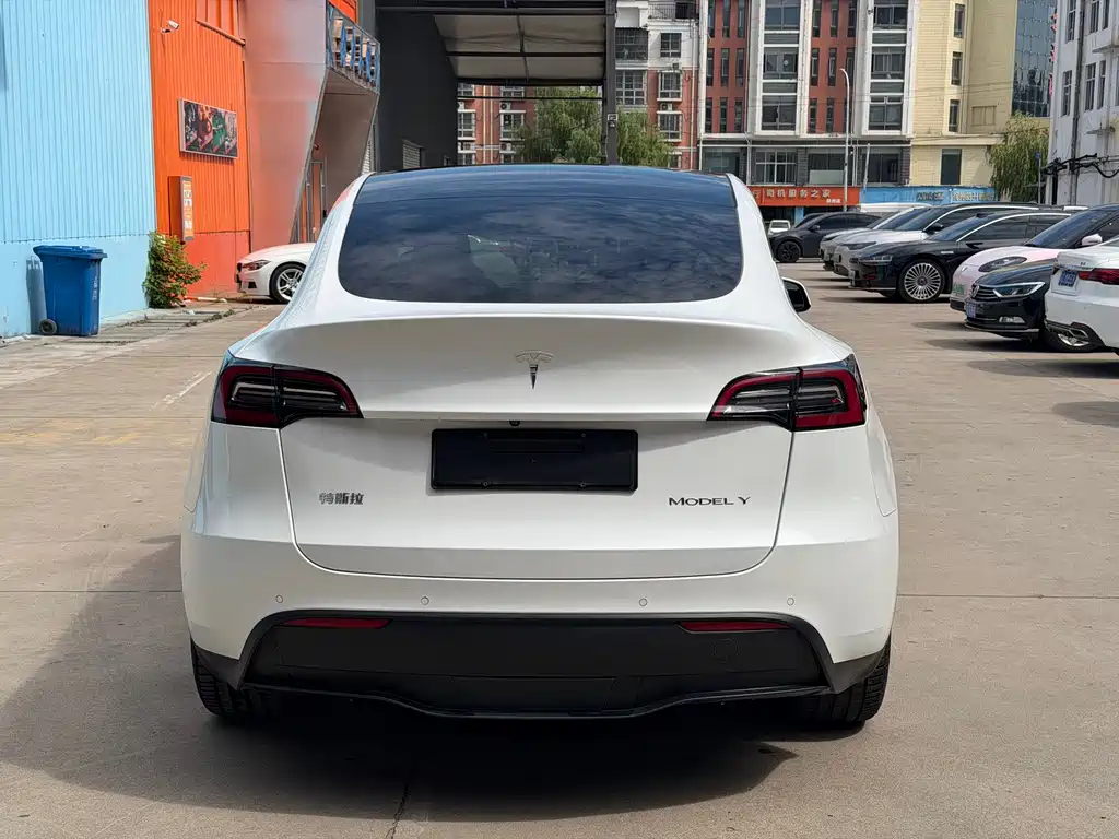 Tesla Model Y — миниатюра 5