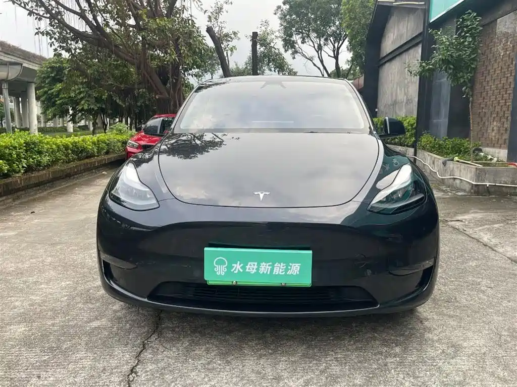 Tesla Model Y — миниатюра 2