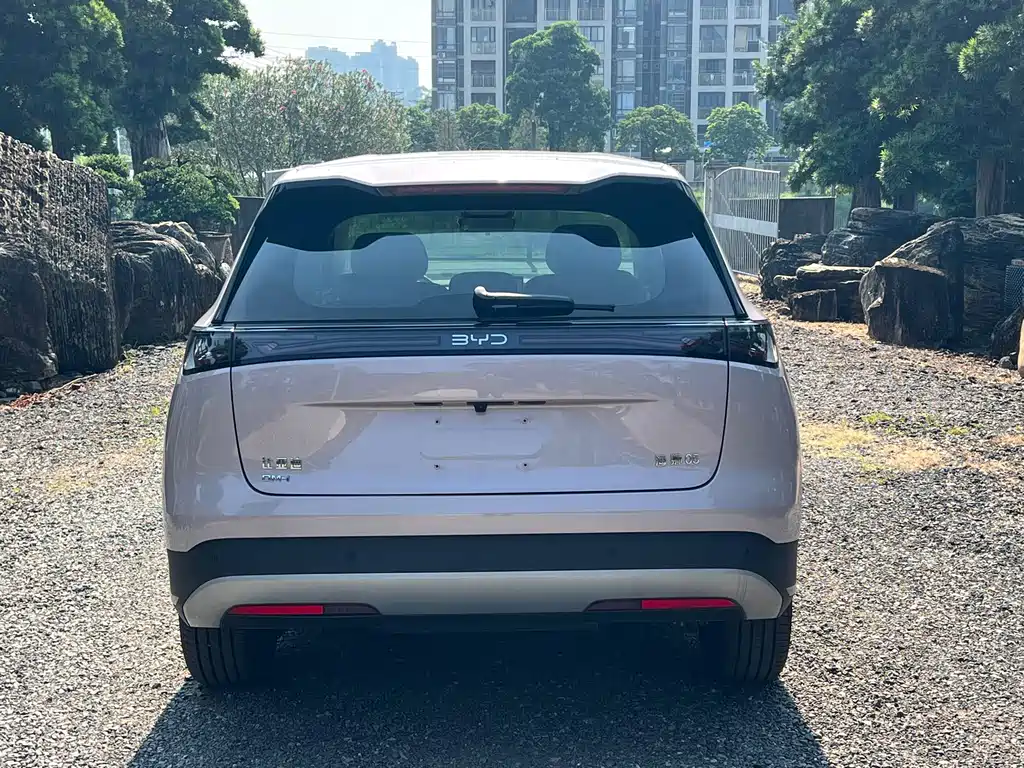 BYD Sealion 05 DM-i — миниатюра 5