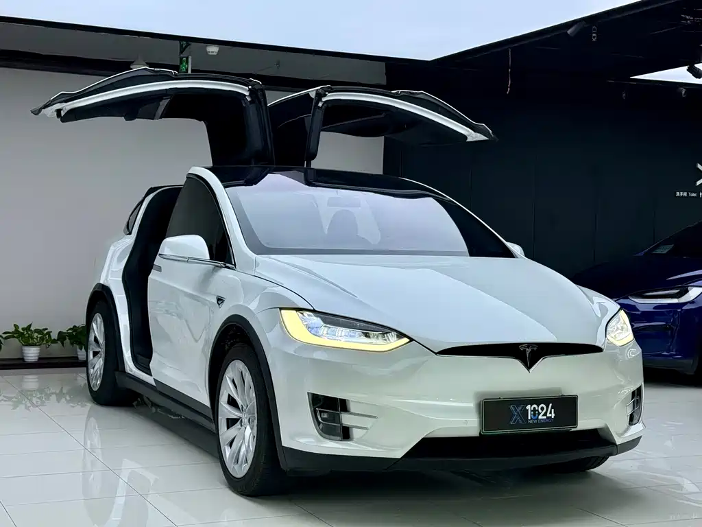 Tesla Model X — миниатюра 3
