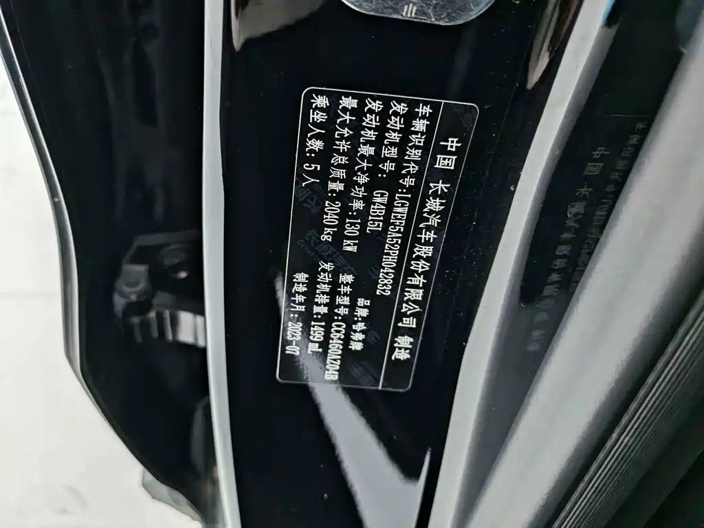 Haval Big Dog — миниатюра 13