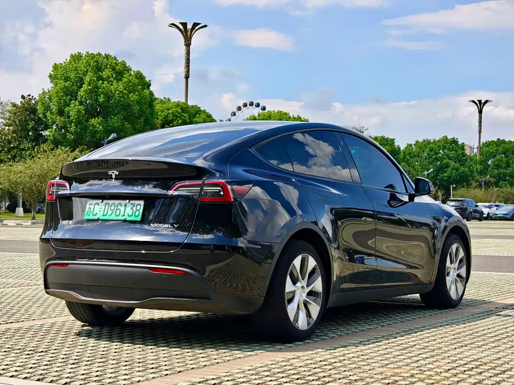 Tesla Model Y — миниатюра 6