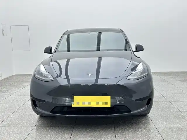 Tesla Model Y — миниатюра 2