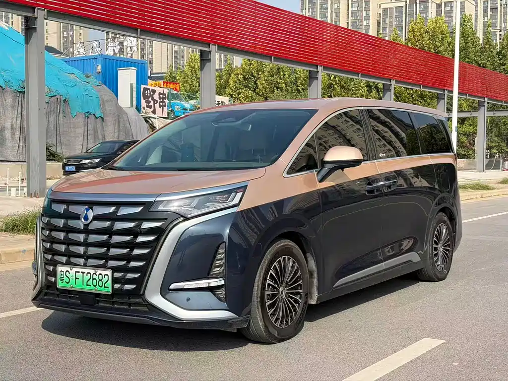Denza Denza D9 — миниатюра 3