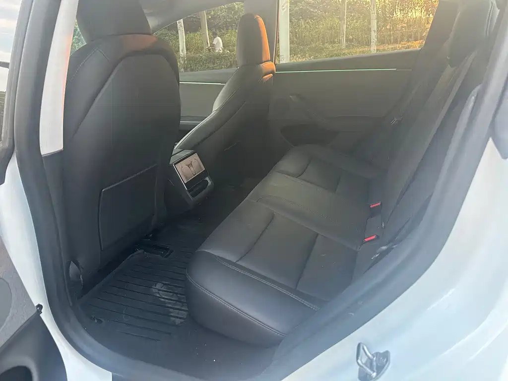 Tesla Model 3 — миниатюра 5
