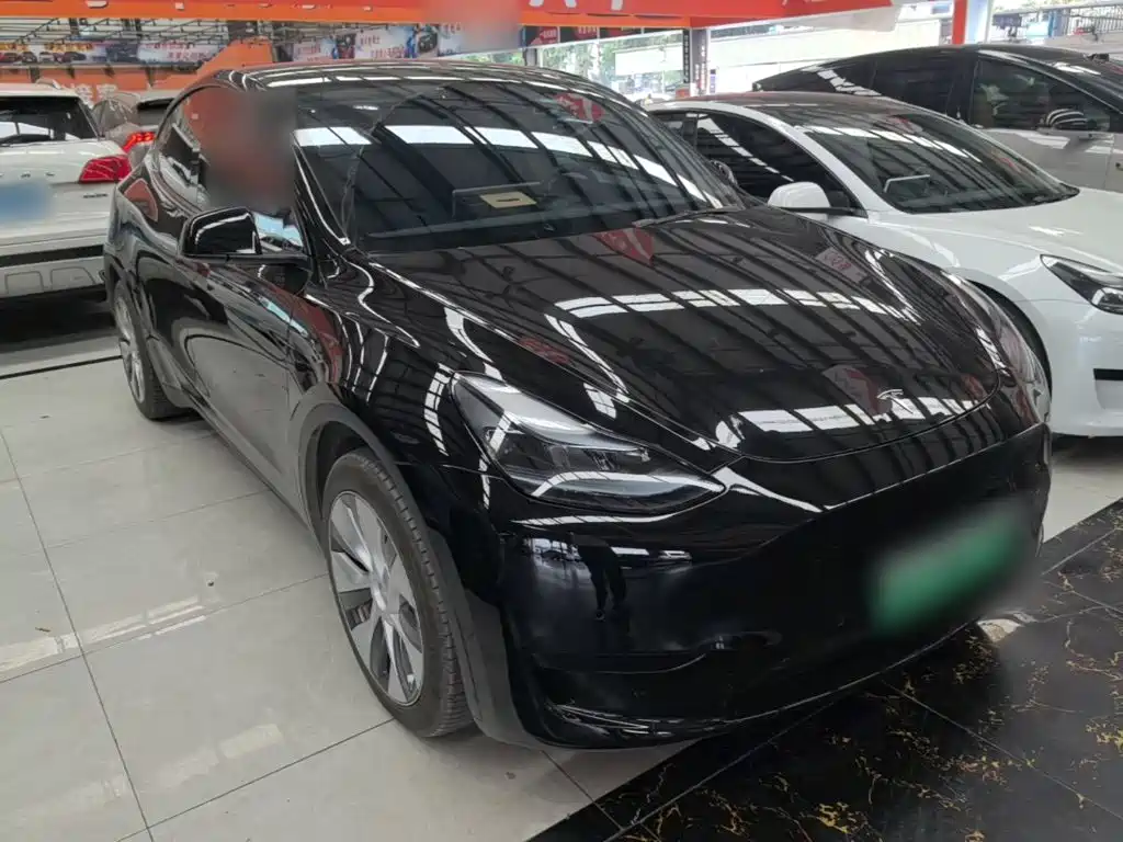 Tesla Model Y — миниатюра 4