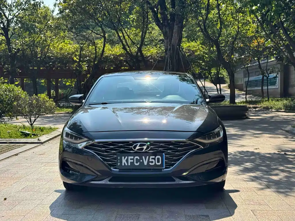 Hyundai Fista — миниатюра 2