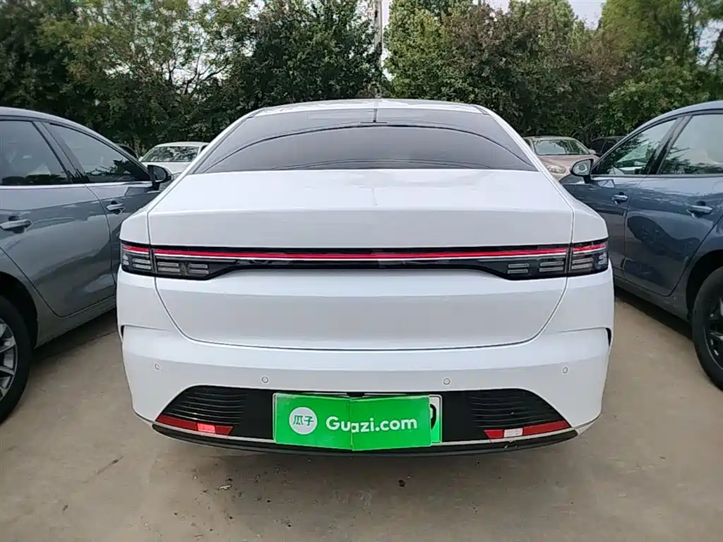 BYD Destroyer 05 2024 DM-i 55KM Luxury