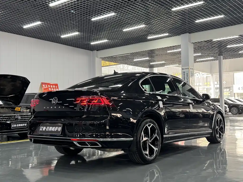 Volkswagen Magotan 2024 200 330TSI DSG Luxury