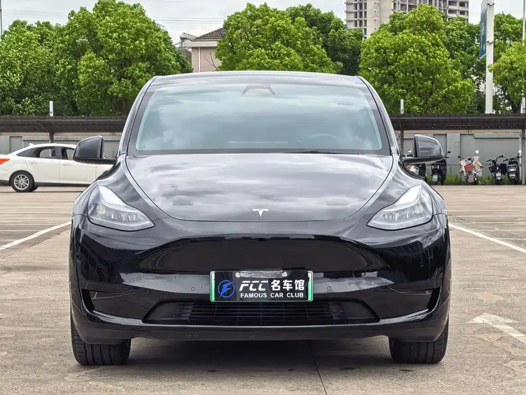 Tesla Model Y — миниатюра 2