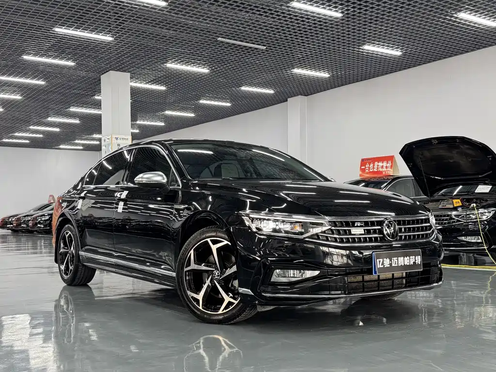 Volkswagen Magotan 2024 200 330TSI DSG Luxury