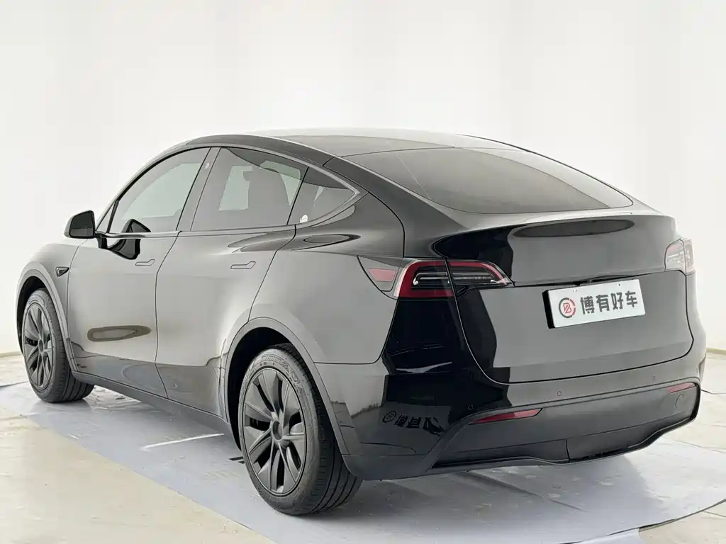 Tesla Model Y — миниатюра 9