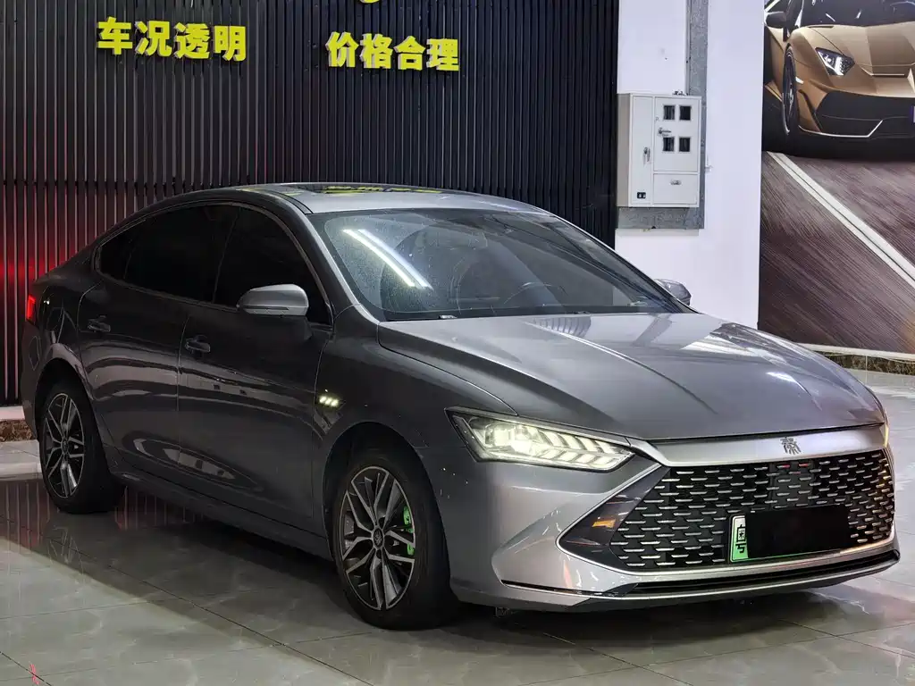 BYD Qin Plus PLUS 2021 DM-i 55KM Flagship