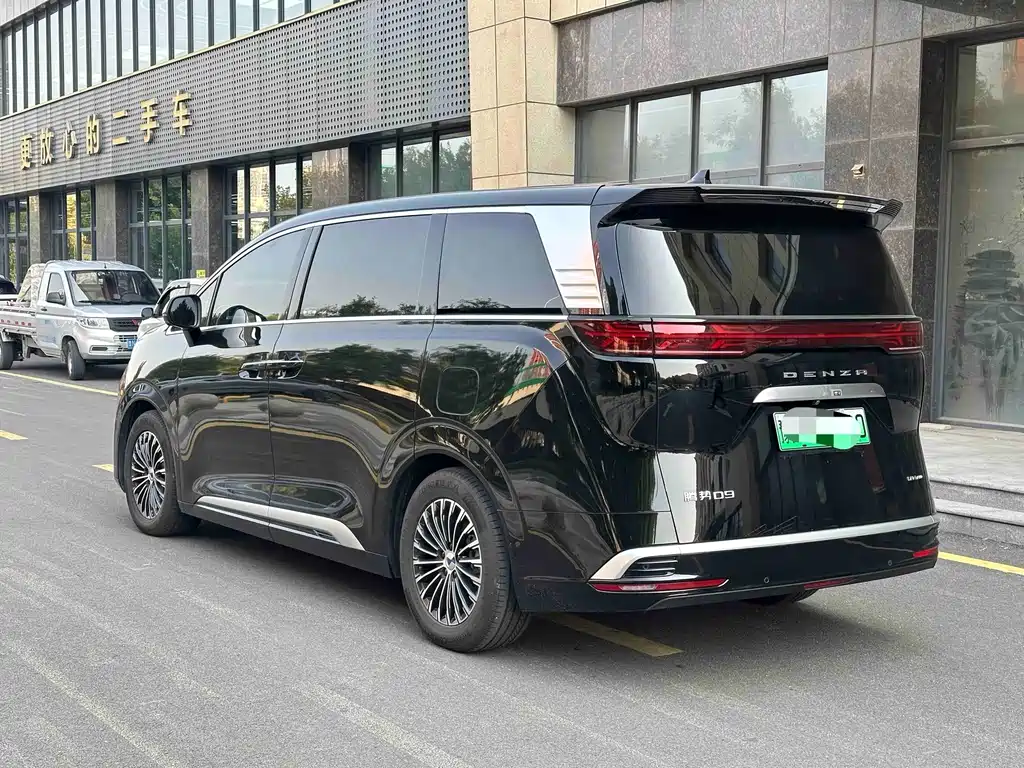 Denza Denza D9 — миниатюра 4