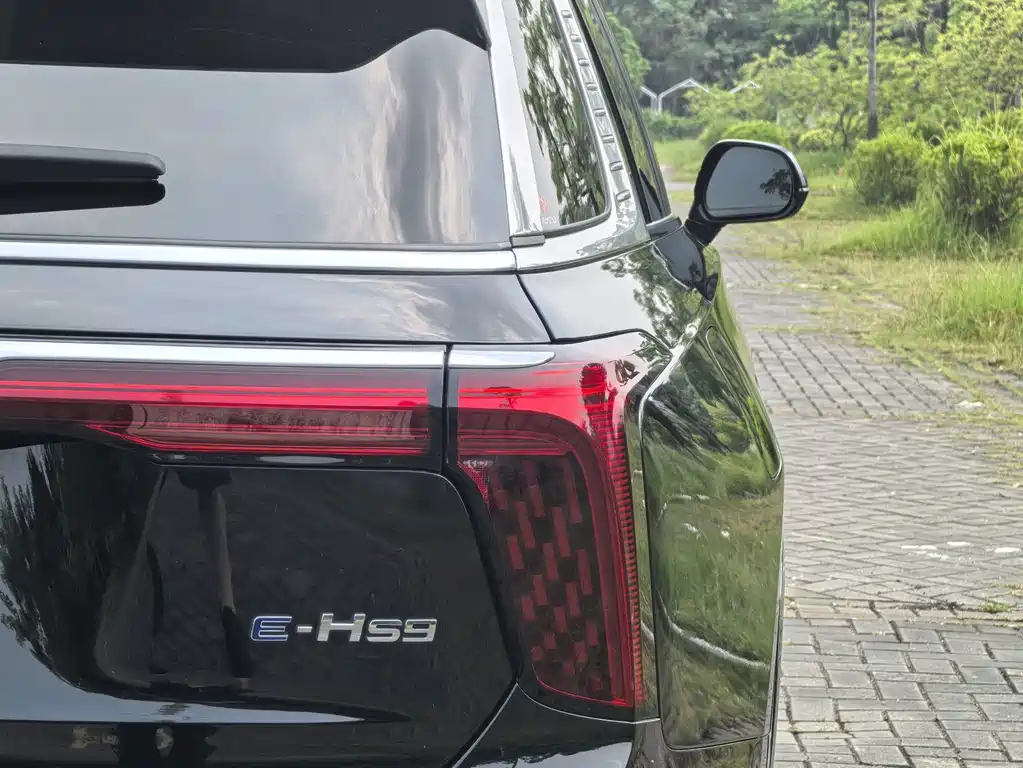 Hongqi Hongqi E-HS9 — миниатюра 9