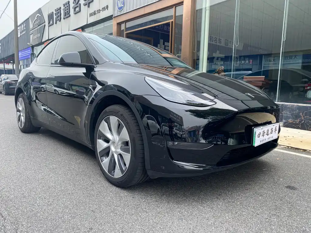 Tesla Model Y — миниатюра 3