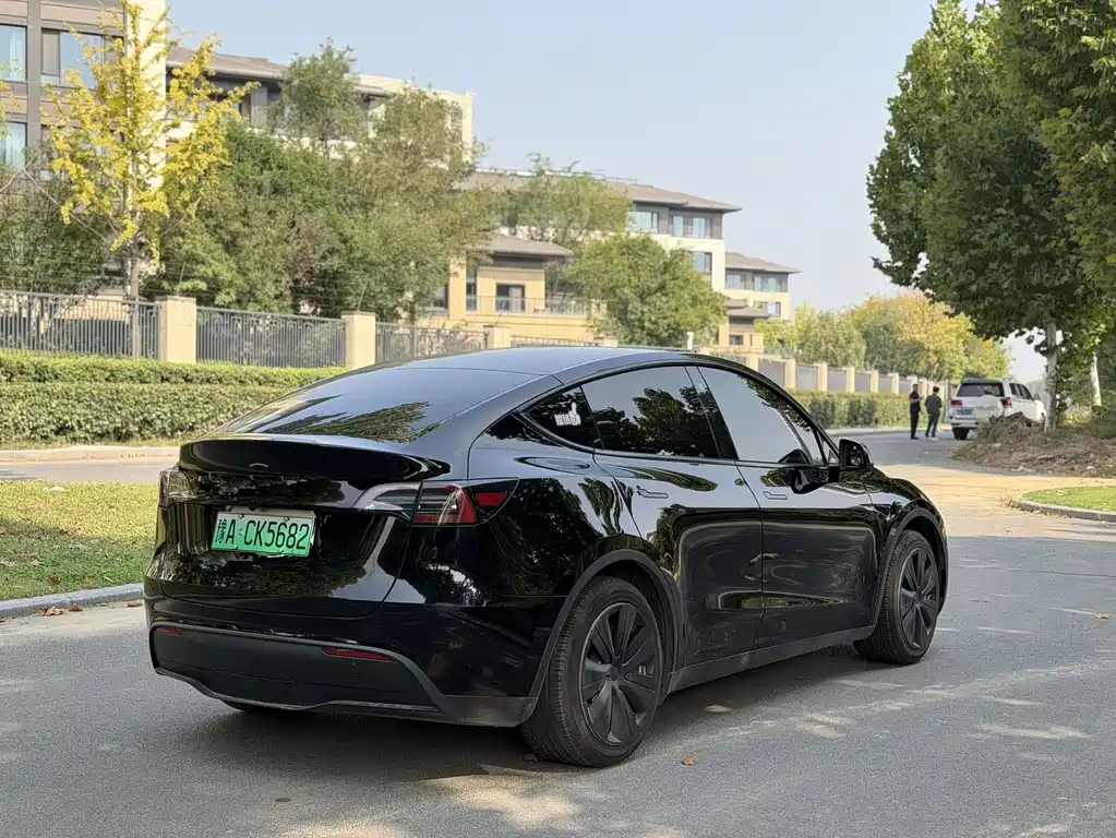 Tesla Model Y — миниатюра 9