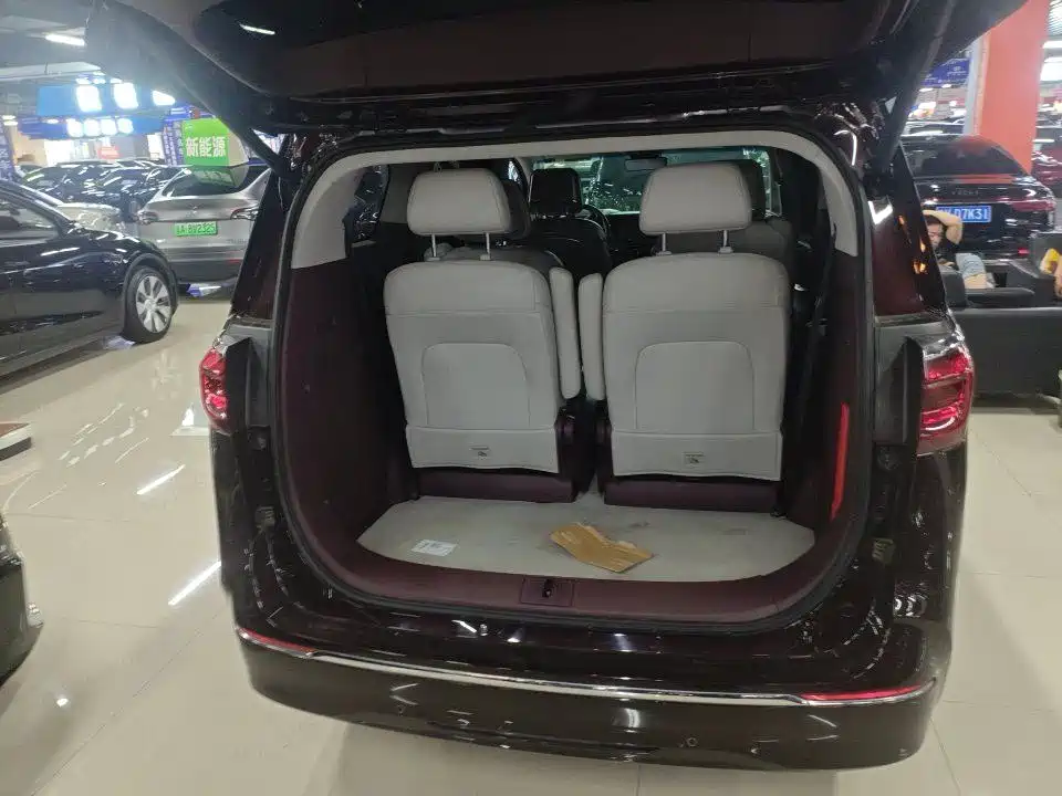 Buick GL8 — миниатюра 8