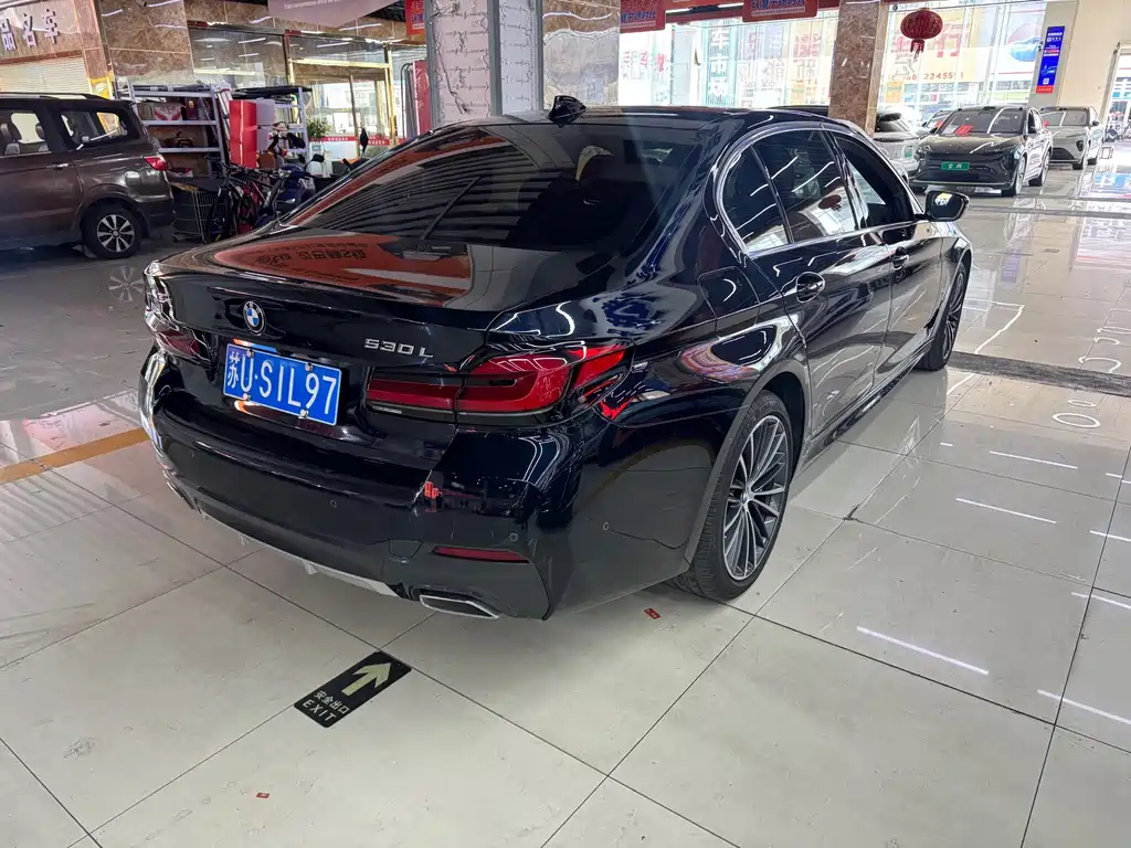 BMW 5 Series — миниатюра 12