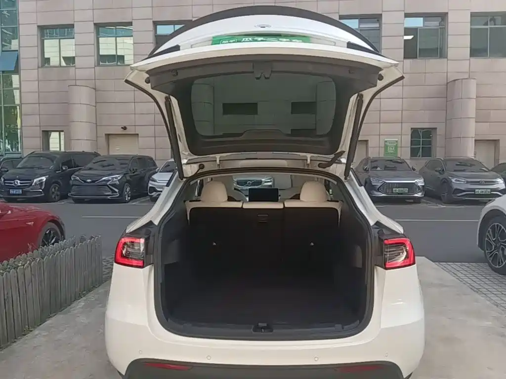 Tesla Model Y — миниатюра 19