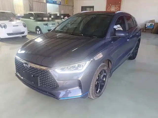 2021 BYD e2