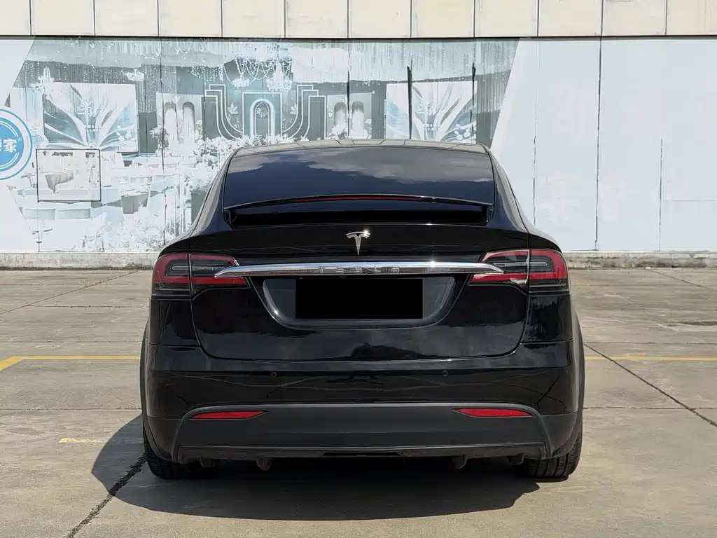 Tesla Model X — миниатюра 5